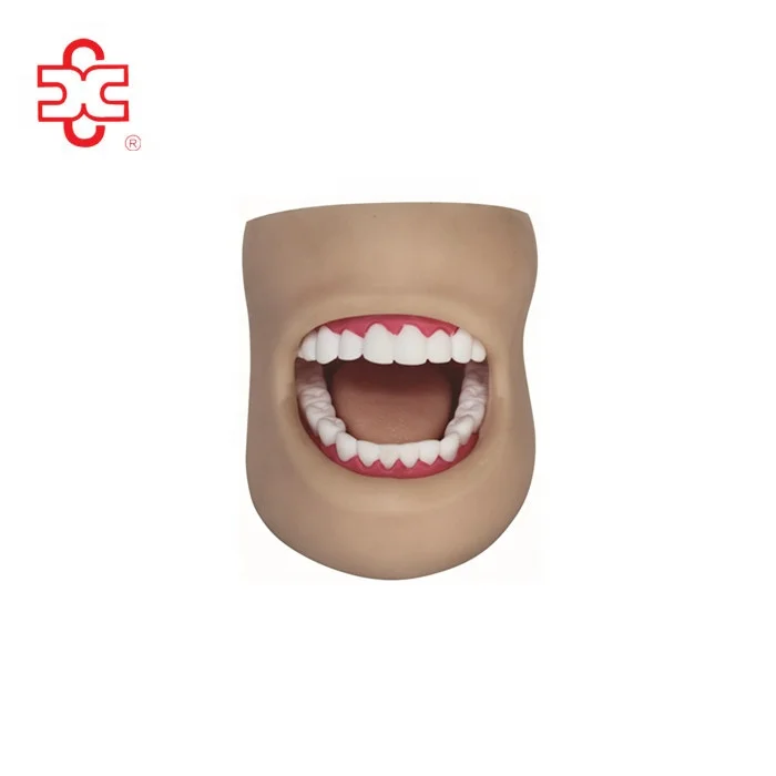 Зубы с щекой