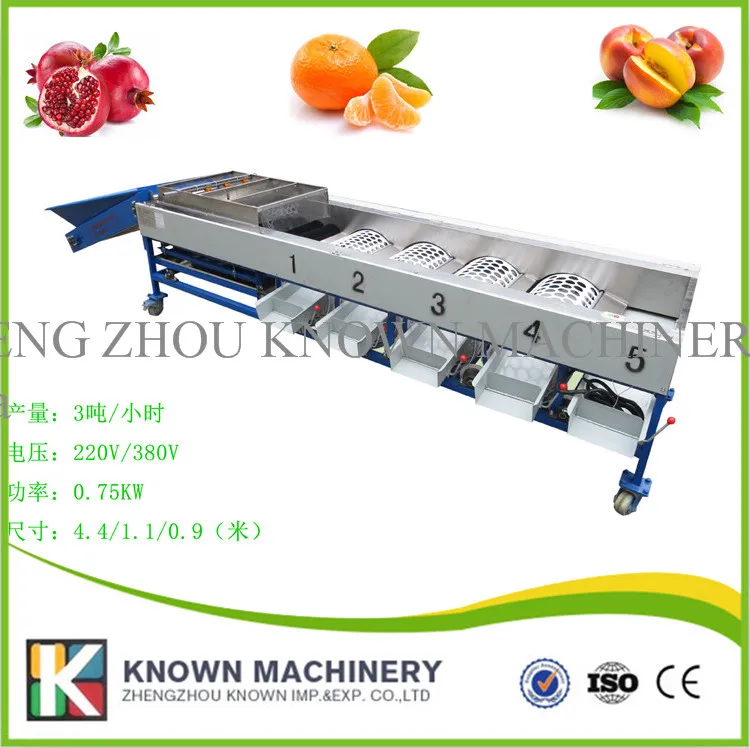 Hawthorn size sorter / potato grading machine/ fruit grader