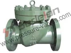 Nozzle Check Valve/Silent Check Valve Avoid Water Slam