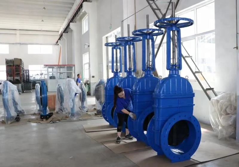 DIN 3352 f4 f5 Cast-iron  resilient seat Gate Valve