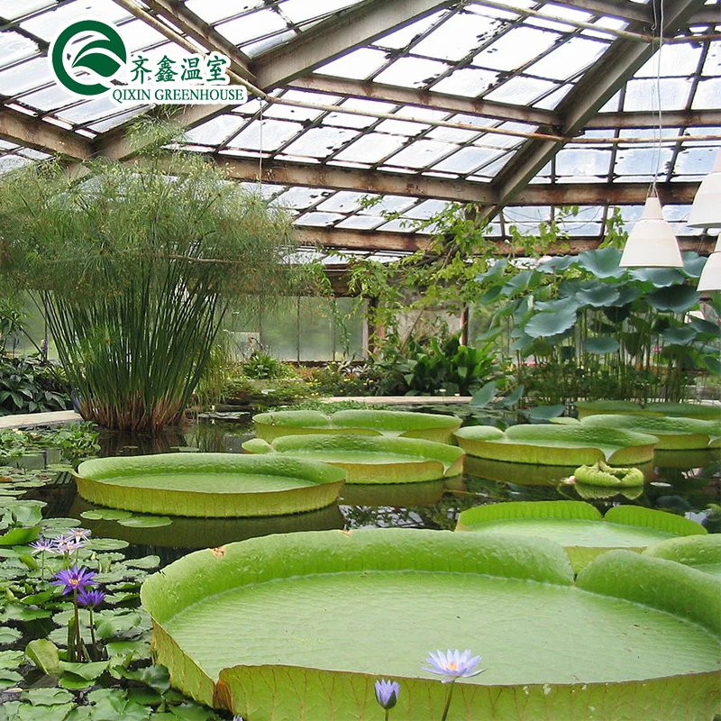 Aquaponic Tomato Galvanized Steel Pipe For Prefabricated PcTent Greenhouse