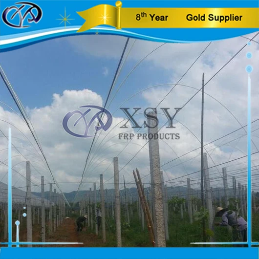 Solid Smooth Fiberglass Rod for Vegetable Support