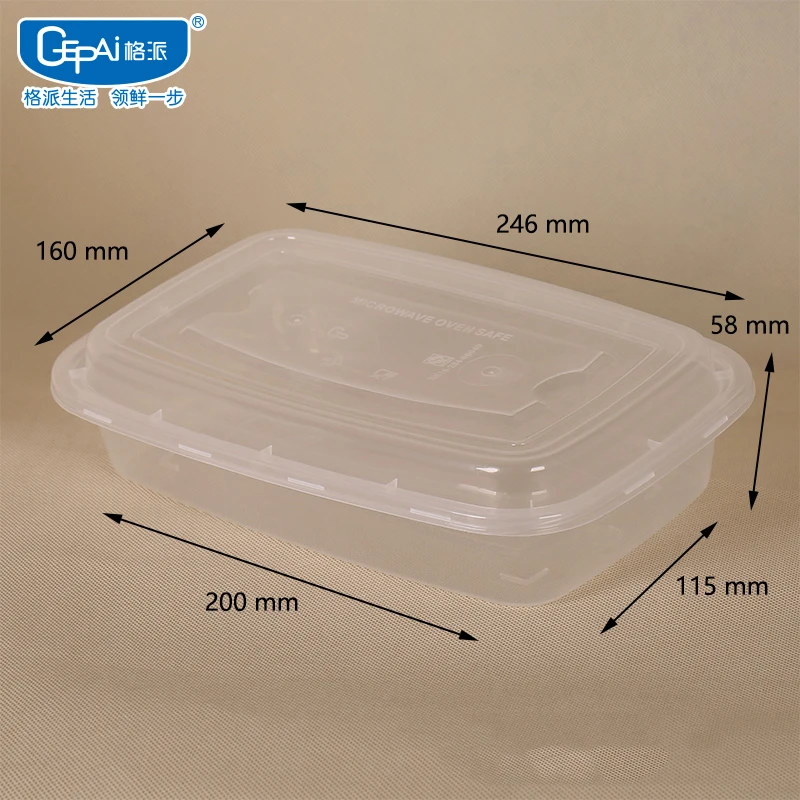 wholesale 1000ML Eco-Friendly Disposable Bento Lunch Box Take-Away Food Container Storage Boxes Packed in Carton
