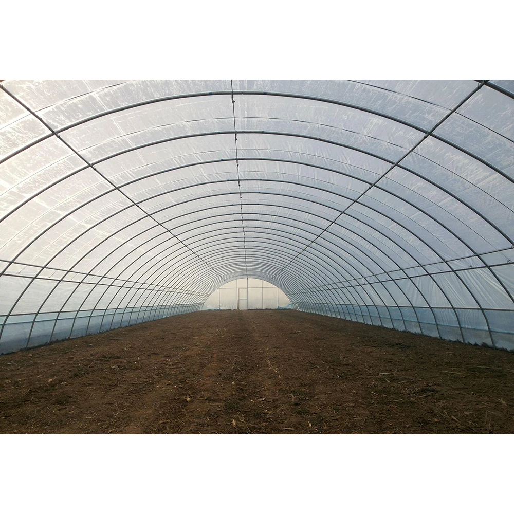 Крупногабаритная сельскохозяйственная теплица, 50 м, 30 м, 20 м