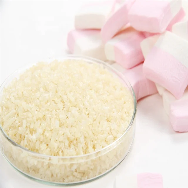 hot selling gelatin price in india