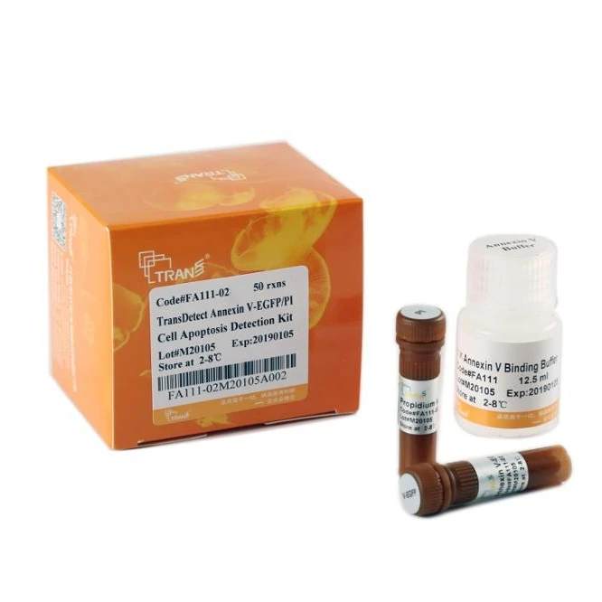 Комплект обнаружения экспотоза клетки transdetecct TM Annexin