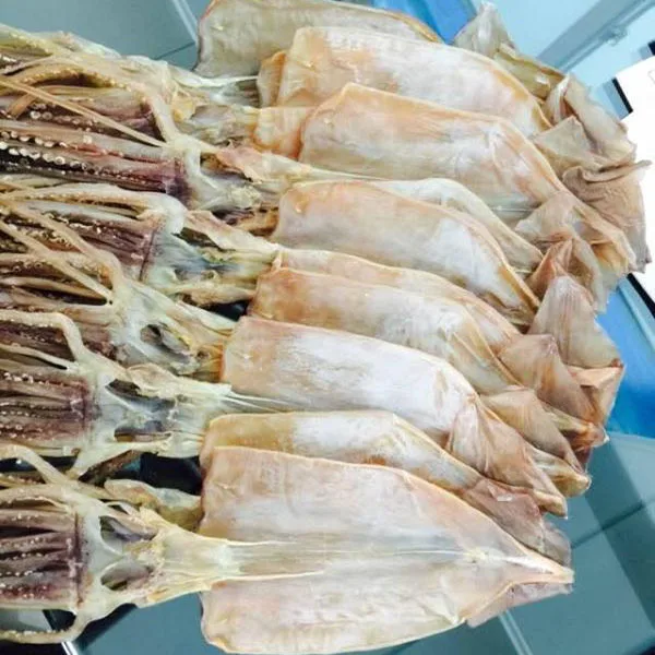 dried salted squids