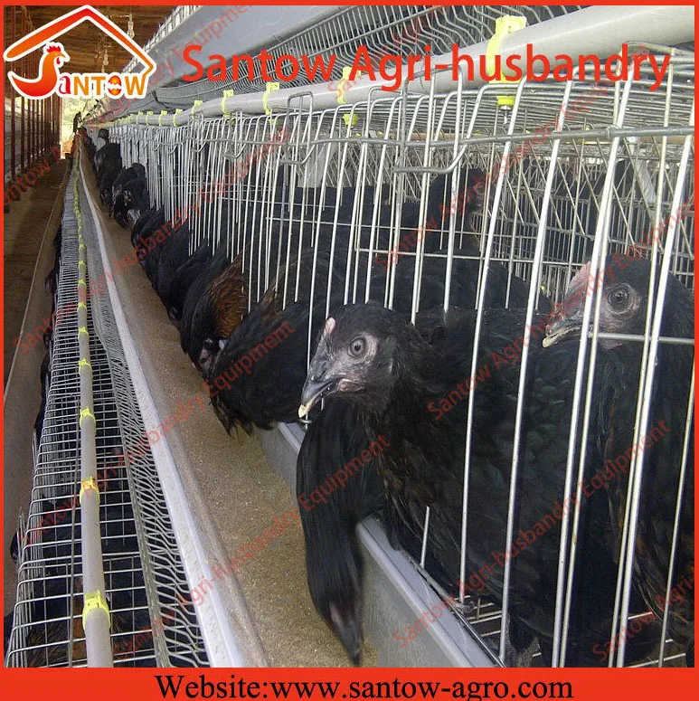 A type 4 tier chicken layer cages pigeon breeding battery cage for poultry farm