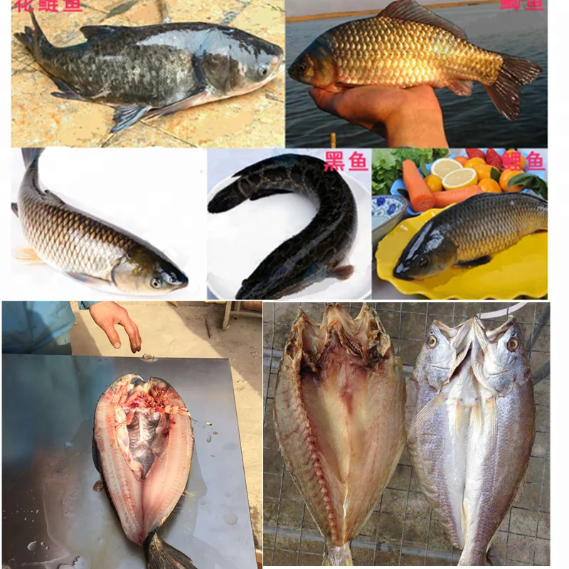 Фабричная электрическая машина для очистки рыбьей чешуи