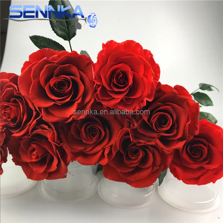 everlasting natural preserved roses flower with long stem