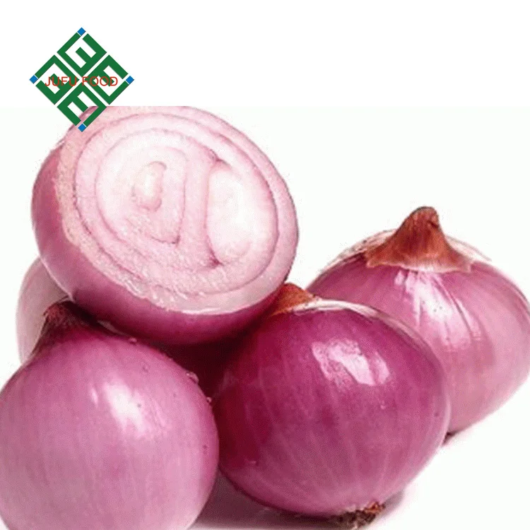Chinese hot sale real fresh onion