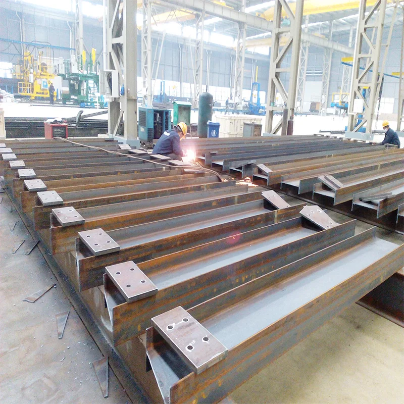 Steel structure low cost chicken house