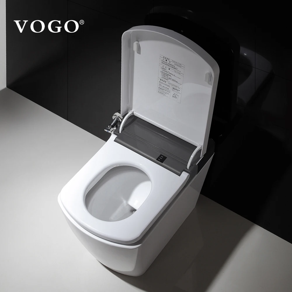 China sanitary ware the top 10 brands european smart toilet