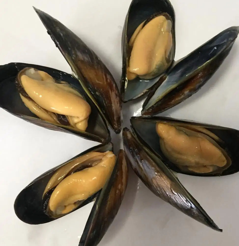 Замороженная синяя мишура в форме половины ракушки разных размеров