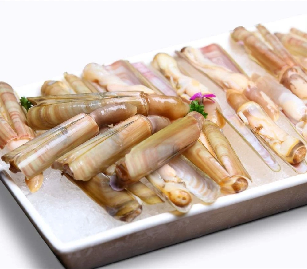 Замороженные моллюски для свежих морепродуктов всех размеров
