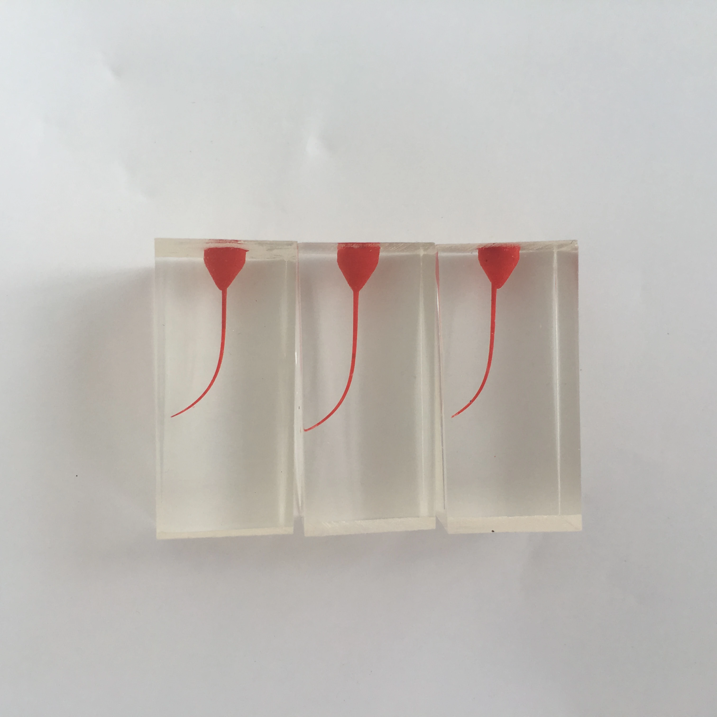 Модель тренировочного блока Root endo