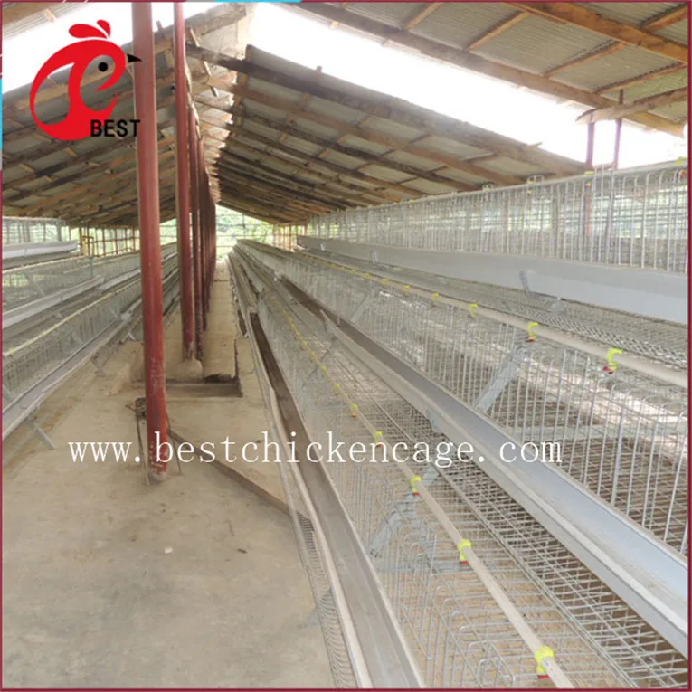 Лидер продаж клетка для кур hebei broiler 5 ярусов 200 птиц несущих автоматическая оптовых