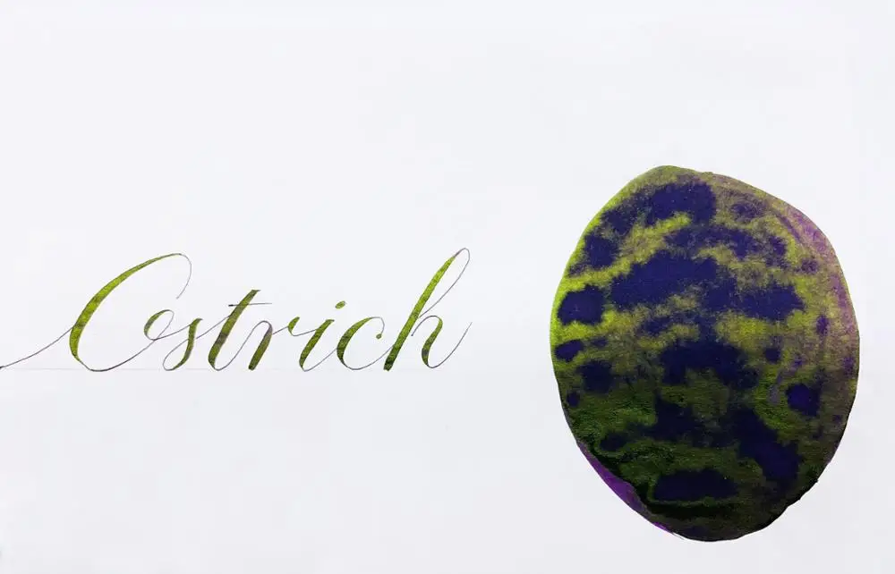 
2019 Hot selling Sheen Series Ink 