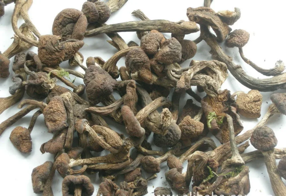 
Detan Dried Oyster Mushrooms 