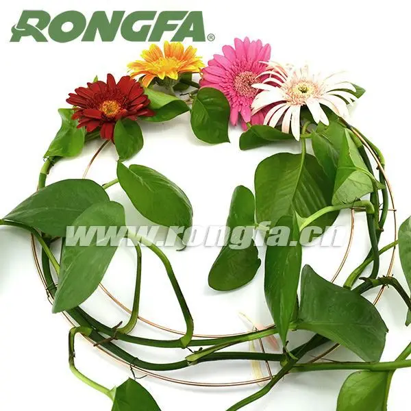 25 cm diameter Wholesale Flower Wreaths Metal Wire Frame  for door wreath frames christmas wreath decorative