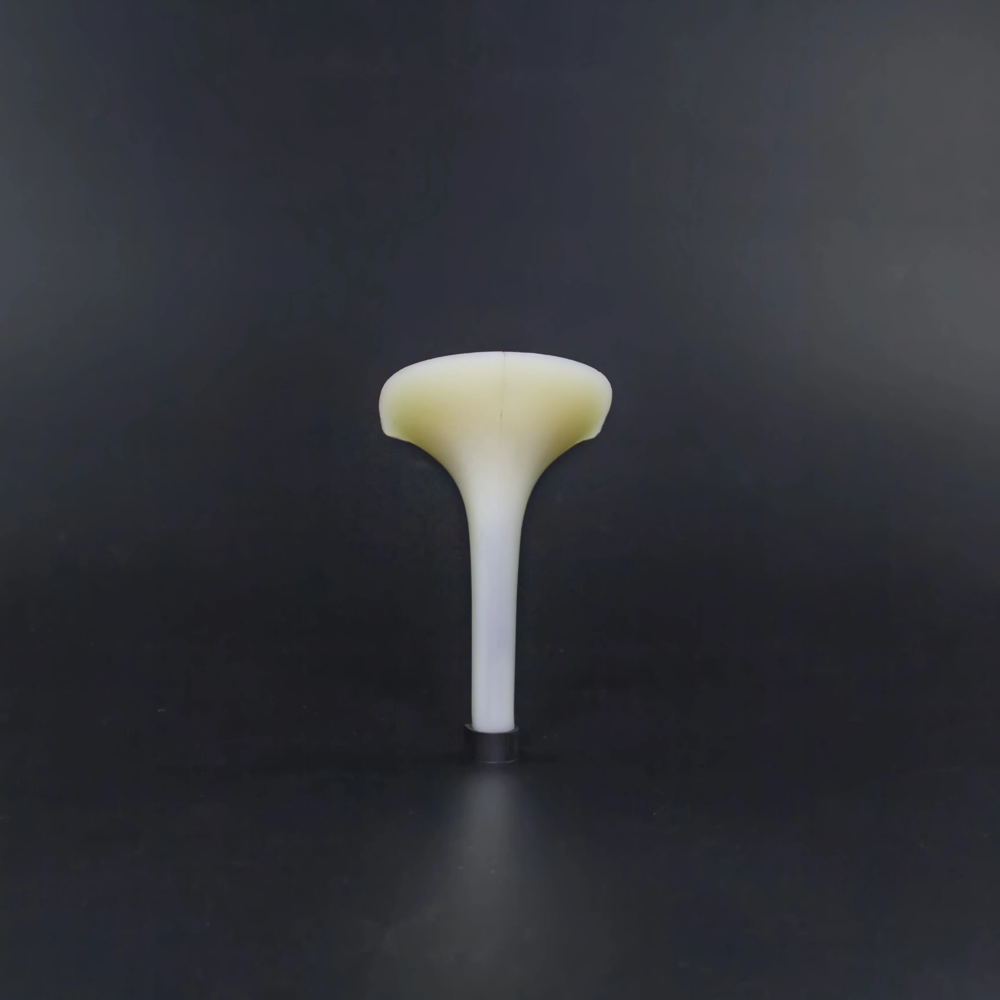 
High Quality Abs Shoe Heel Ladies 