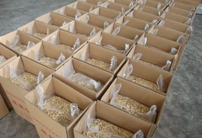 Chinese Xinjiang Light Halves Walnut Kernels with best price and good quality