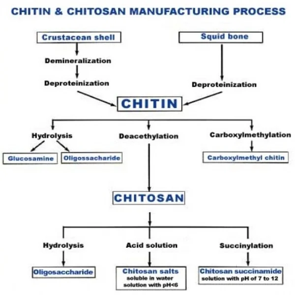 
High Density Industry Grade DAC 85%Min Chitosan Fertilizer 