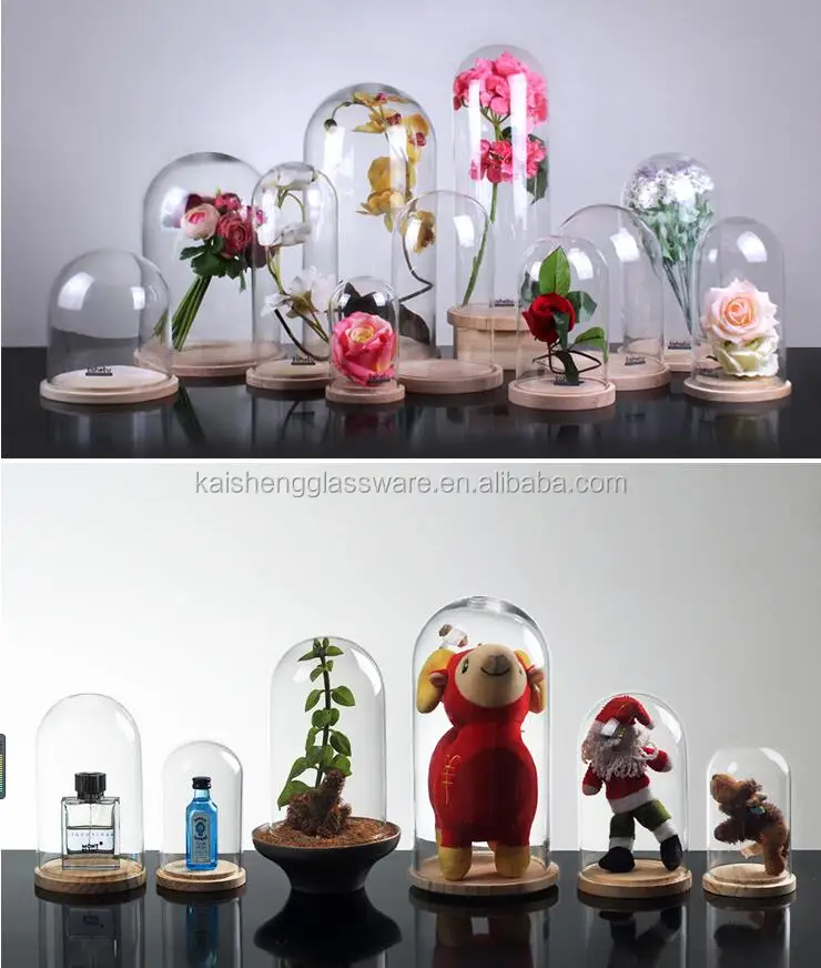 Home decoration clear glass bell jar with base wooden