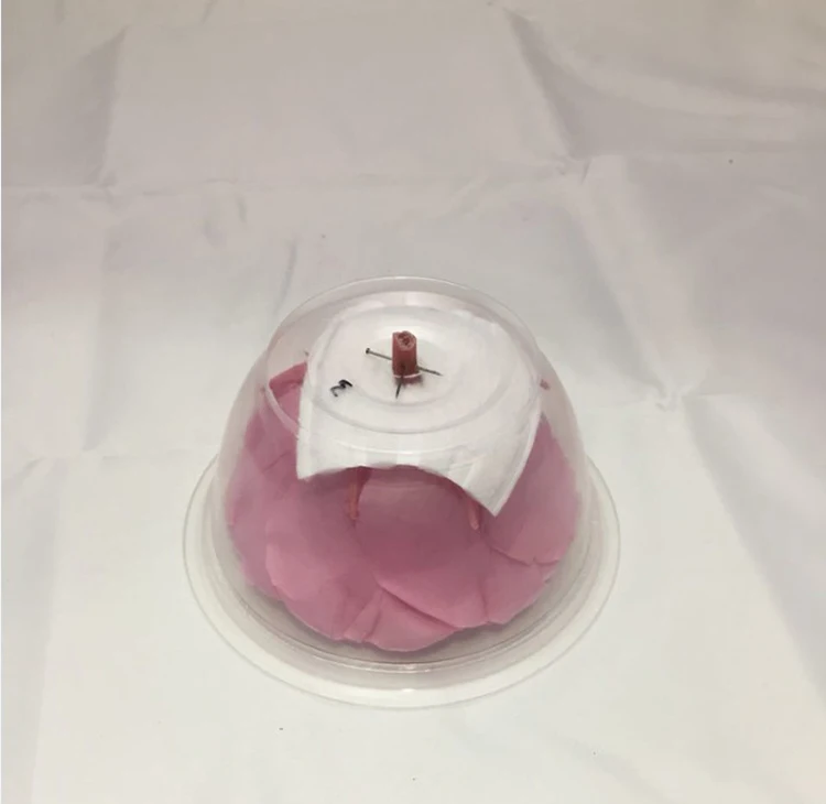 
Big pink rose bud size 9-10cm preserved flower material natural preserved roses for innovative birthday gifts in box 