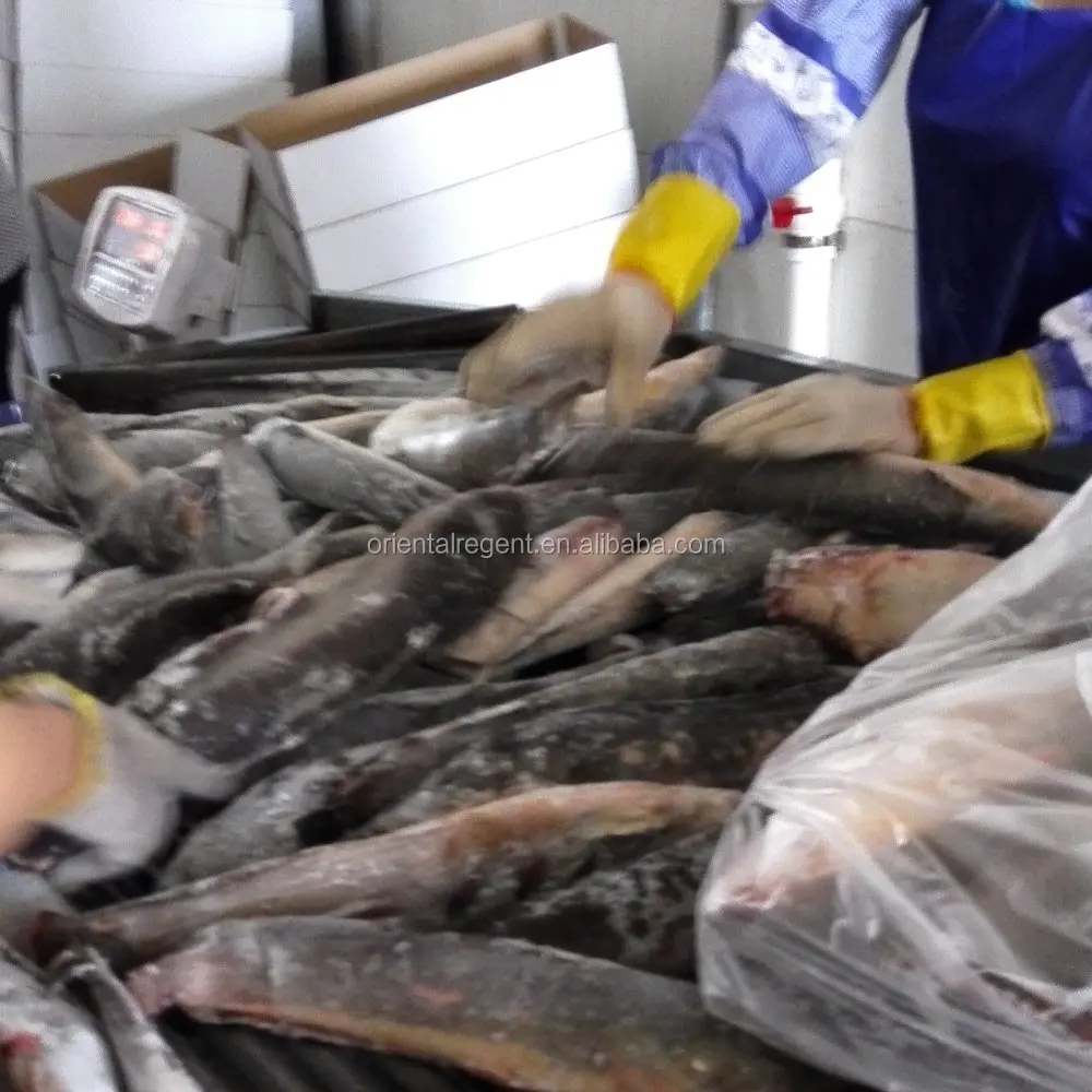 
new product--Frozen Catfish Whole Round 