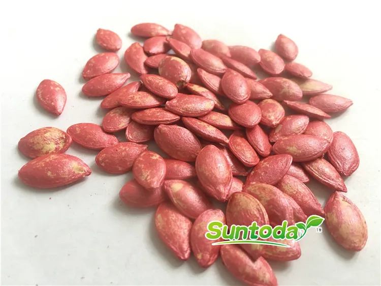 
Hybrid oval round dark green with flower summer vegetable squash seeds 100g/bag 