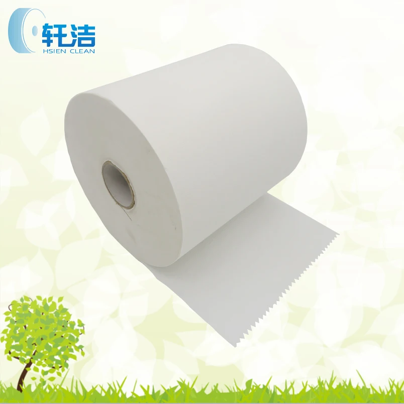 Toilet Paper in Roll