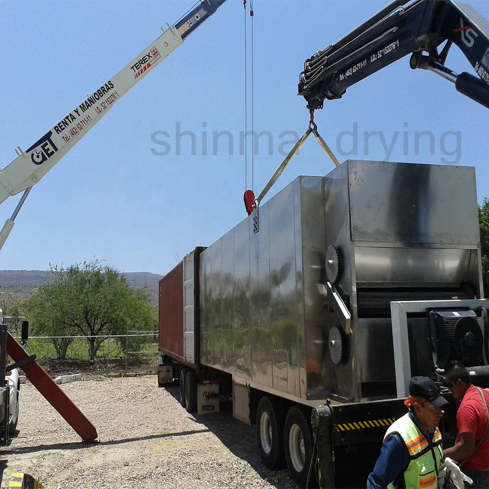 
DW Mushroom /vegetable/ fruit mesh belt dryer 