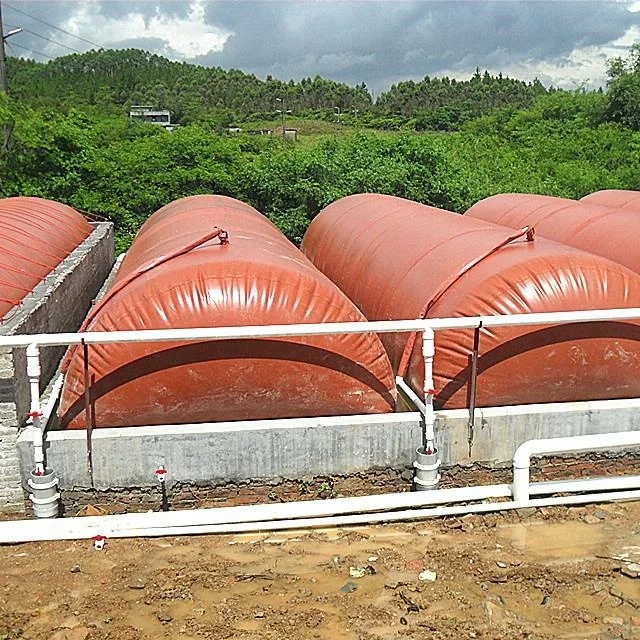 
Anaerobic fermentation bio digester small biogas plant project system 