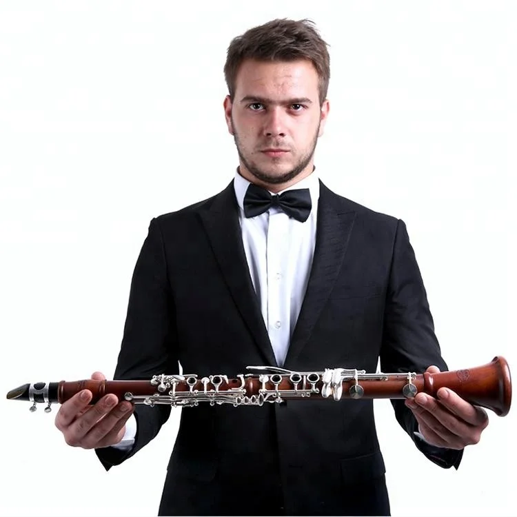 
Accept OEM Dasheng Music DSCL-509S 17 Keys Bb Rosewood Clarinet 