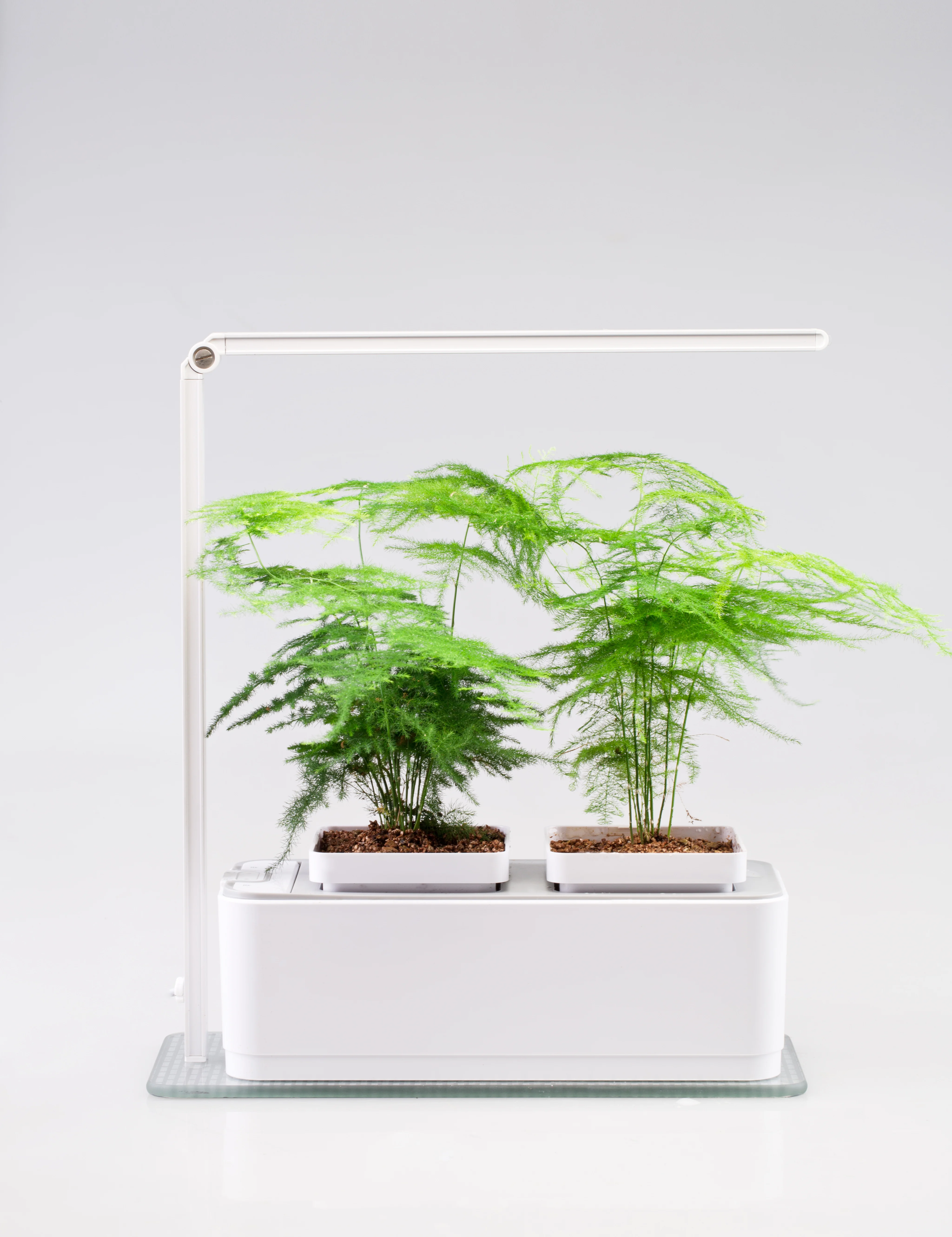 202 органические системы гидропонного выращивания, домашний светодиодный светильник для умного дома и сада, системы гидропонных теплиц для домашнего сада