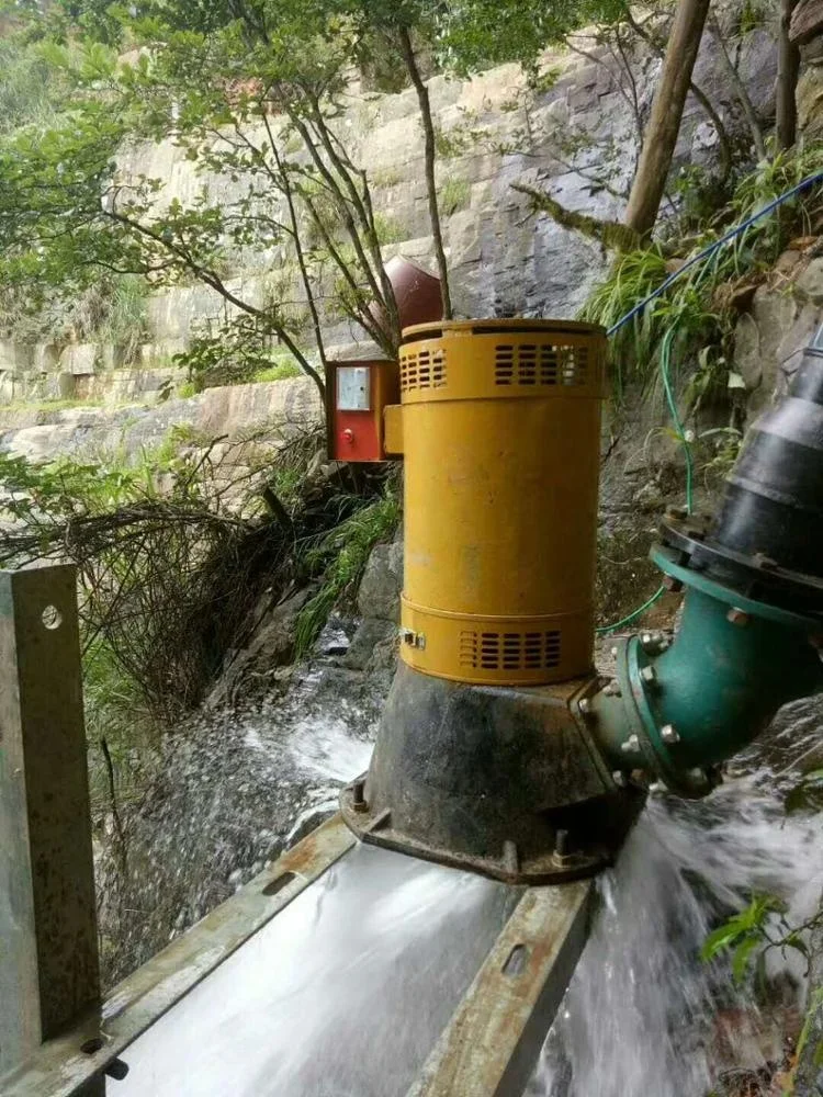 8kw дешевой цене одинарная ножка бесщеточный индукционный turgo мини турбина силы воды для домашнего использования турбины генератора