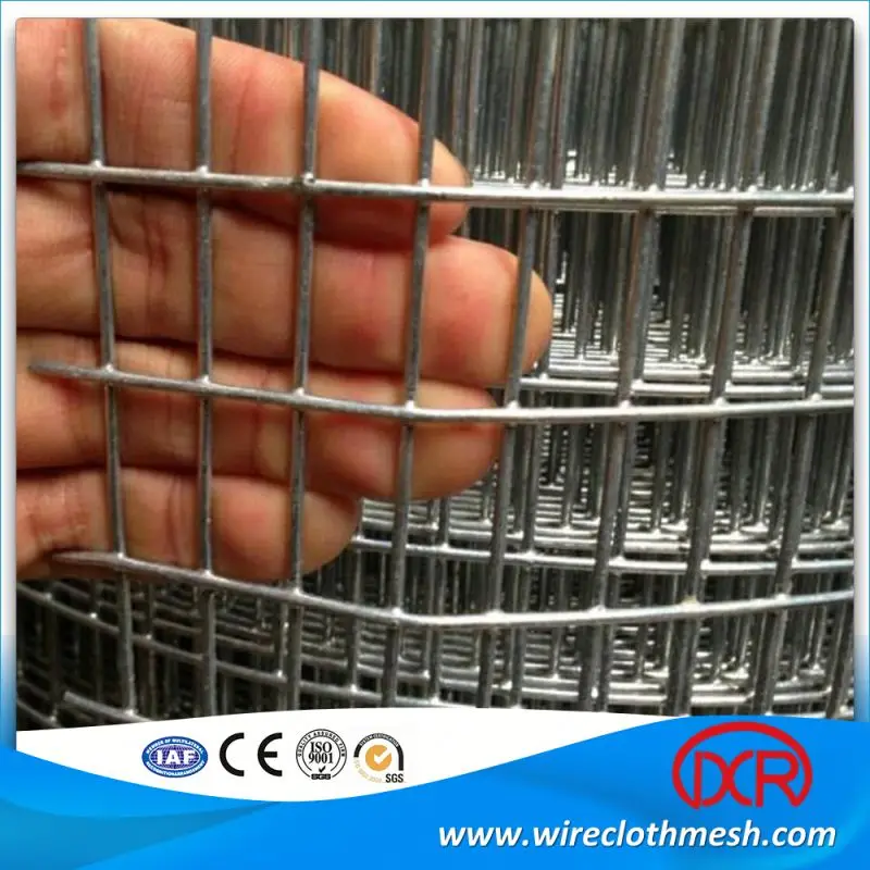 Powder Coated Stainless Steel Welded Mesh Roll