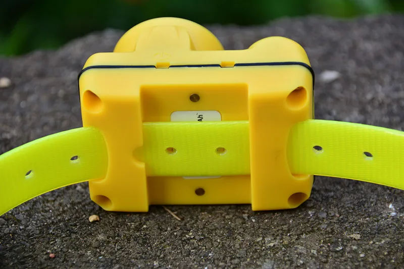 BK3518 digital necklace hunting training dog beeper collar