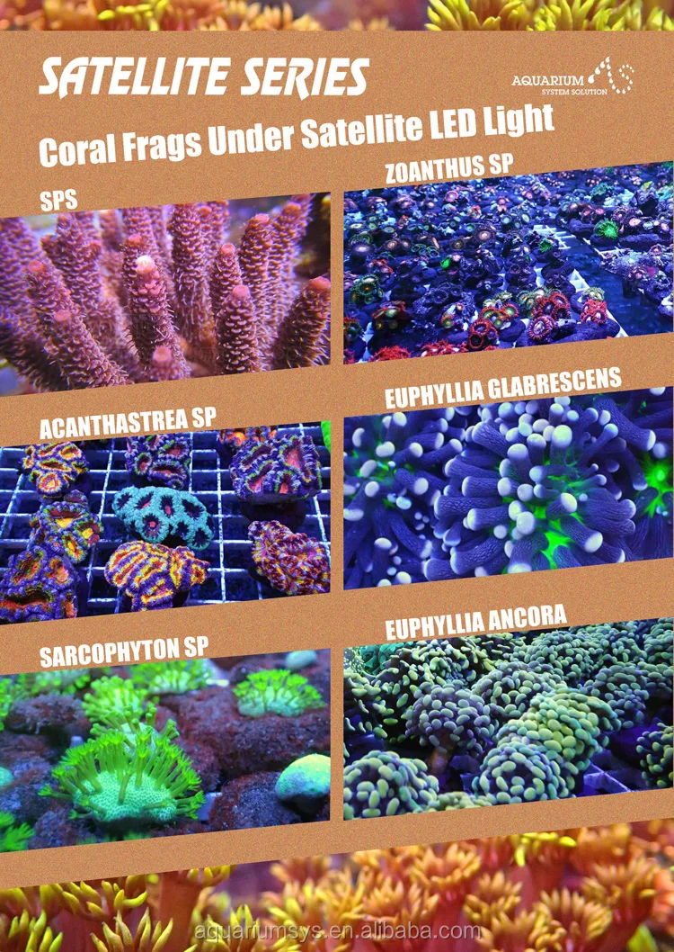 AS Satellite Series светодиодный морской аквариум, светодиодное освещение, рифовый коралл, светодиодный контроллер