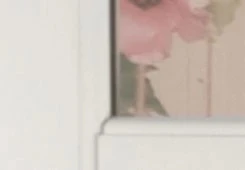 Flush 5Lite  fiberglass swing exterior door