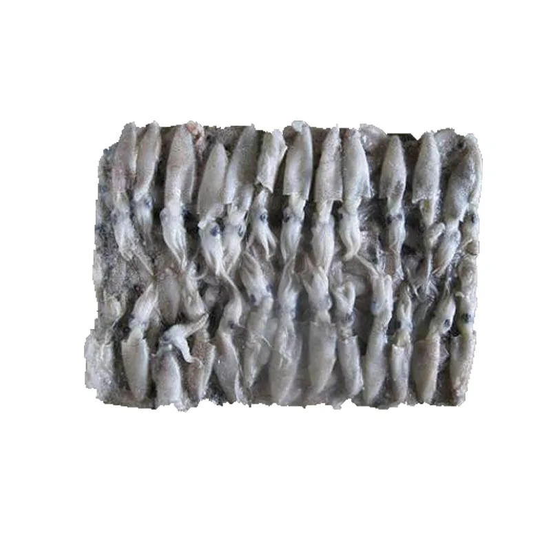 Новый сезон, замороженный детский кальмар, лигого кальмар