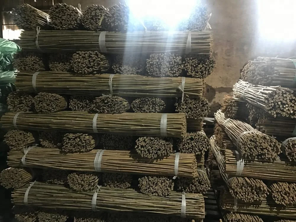 FD-6-20mm diameter Tonkin bamboo poles bamboo sticks for support