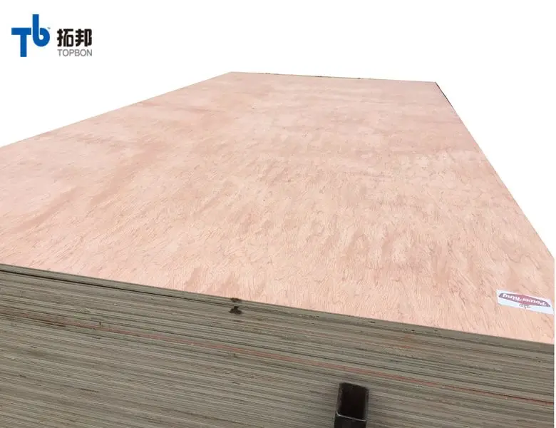 wbp mahogany veneer birch plywood 18mm with good price