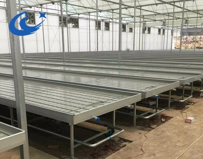 Greenhouse hydroponic systems ebb and flow grow tray rolling bench