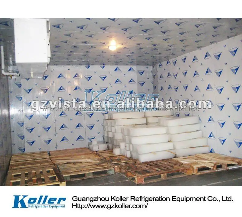 Горячие продажи Холодной комнате ходить в морозильник) для фруктов/рыба/мясо/цветок