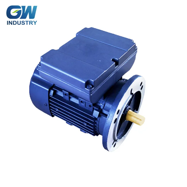 Manufacturer 220V single phase double value capacitor motor 50Hz