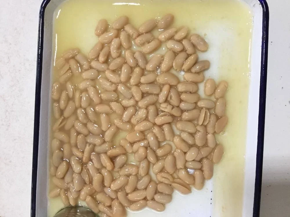 
Canned White Kidney beans in brine 