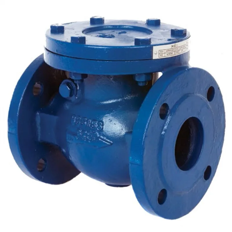DN50-DN300 DIN 3202 F6 pn16 Ductile Iron water  swing check valve for sea water