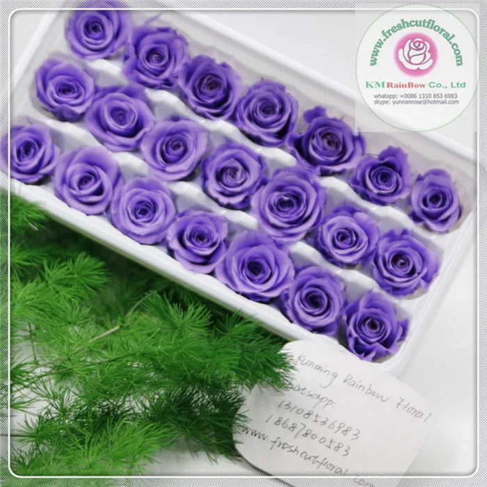 natural mini preserved rose head 2-3cm diameter in size 24 pieces/box